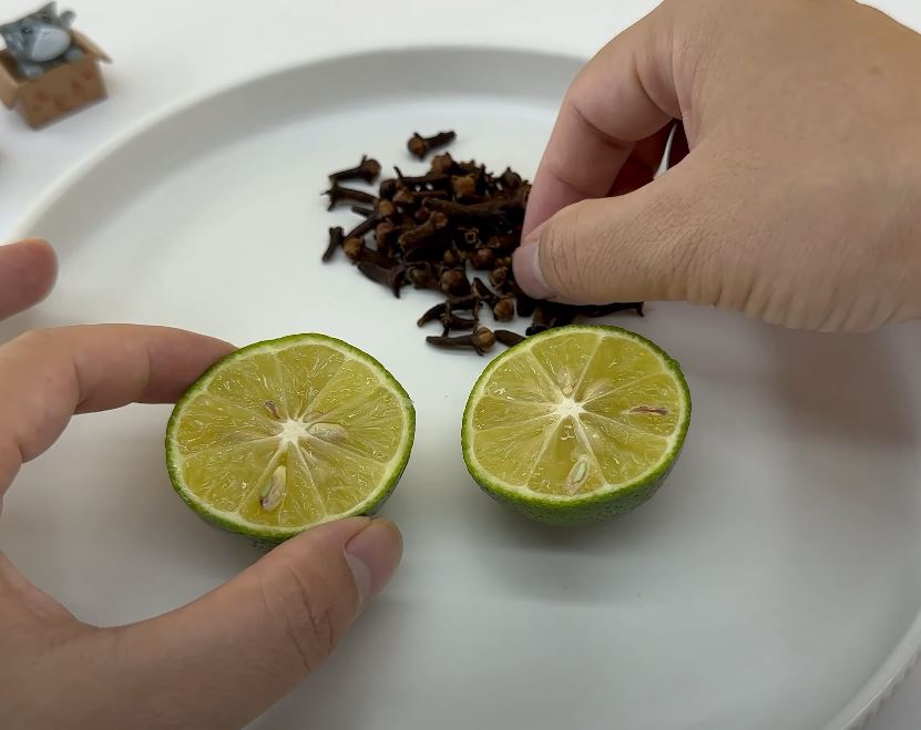 Cắm các nụ đinh hương khô vào quả chanh.