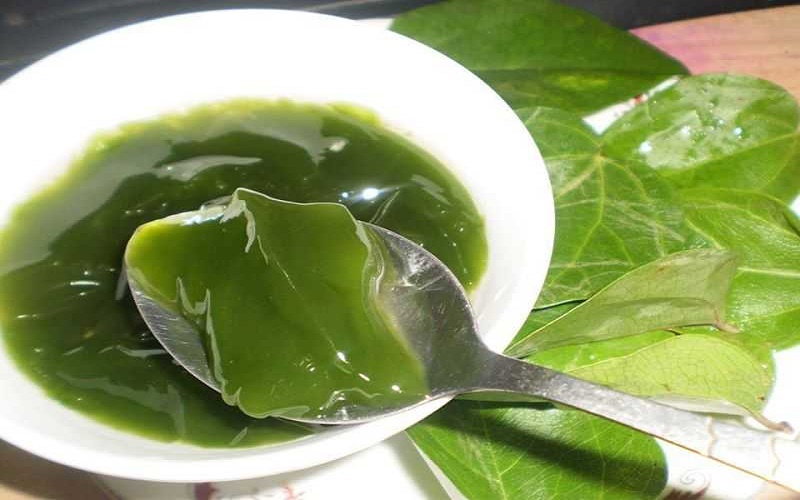 Thạch làm từ lá sương sâm là một Shbet0099 cá cược trực tuyến vặt giải nhiệt phổ biến