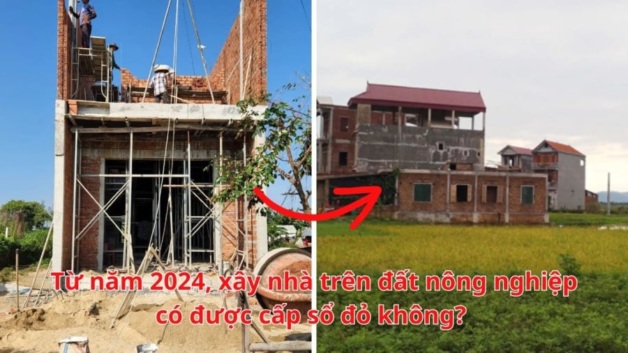 Chuyển giao mục đích sử dụng đất đúng quy định