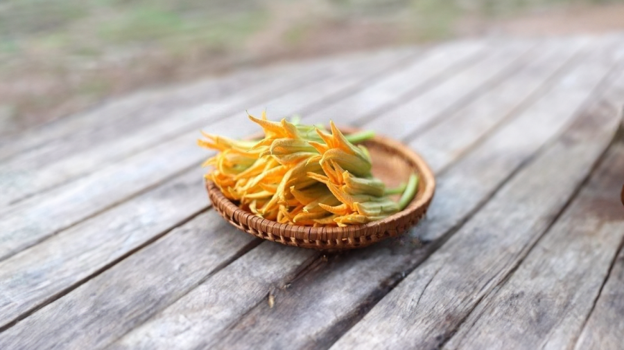Bông bí vàng là loại rau ngon