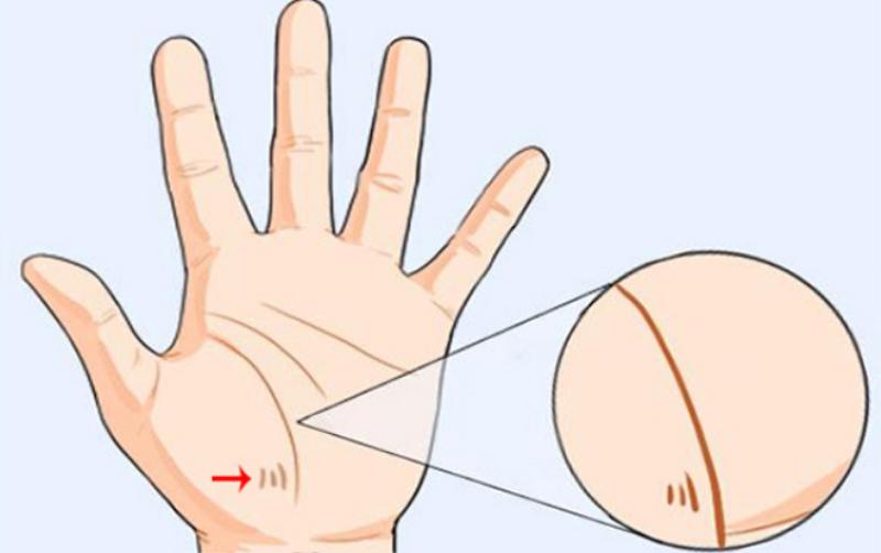 Tướng bàn tay giàu có thành công hơn người