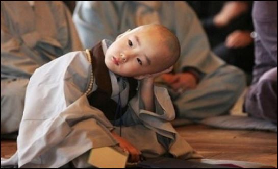 Cha mẹ không chỉ là người thầy đầu tiên mà còn là tấm gương, người hướng dẫn cho con. (ảnh minh họa)