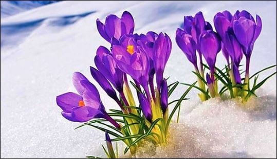 Lúc nào cũng có những người than ngắn thở dài khi nhìn về quá khứ, tại sao mình lại mất đi người đã từng đối xử tốt với mình. (ảnh minh họa)