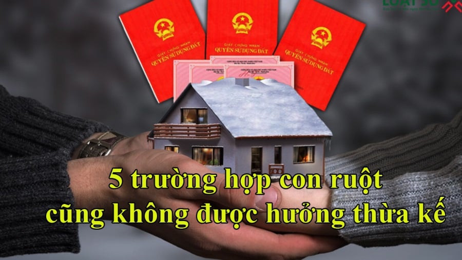 Những trường hợp con ruột cũng không được hưởng thừa kế