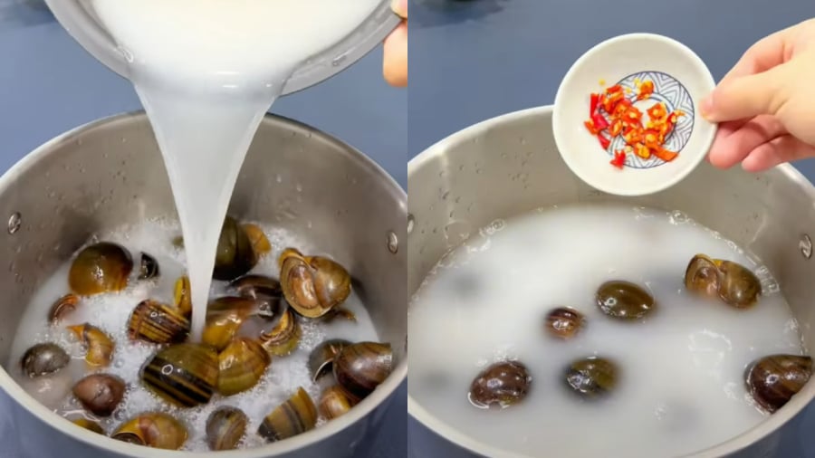 Ngâm ốc với nước vo gạo và ớt sẽ giúp ốc nhanh há miệng nhả bùn đất.