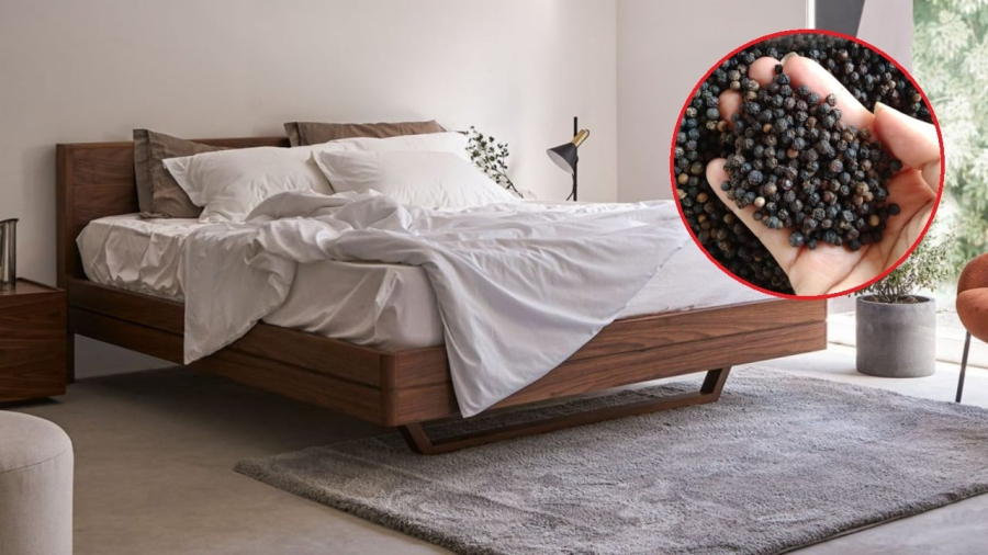Gầm giường thường là một trong những nơi được bỏ qua khi dọn dẹp vệ sinh. 