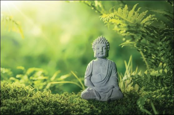 Từ bỏ bản thân và sống kỷ luật hơn vốn là điều không dễ dàng. Nhưng khi bạn tự tay cắt bỏ đi lòng tham, bạn mới được giải thoát. (ảnh minh họa)