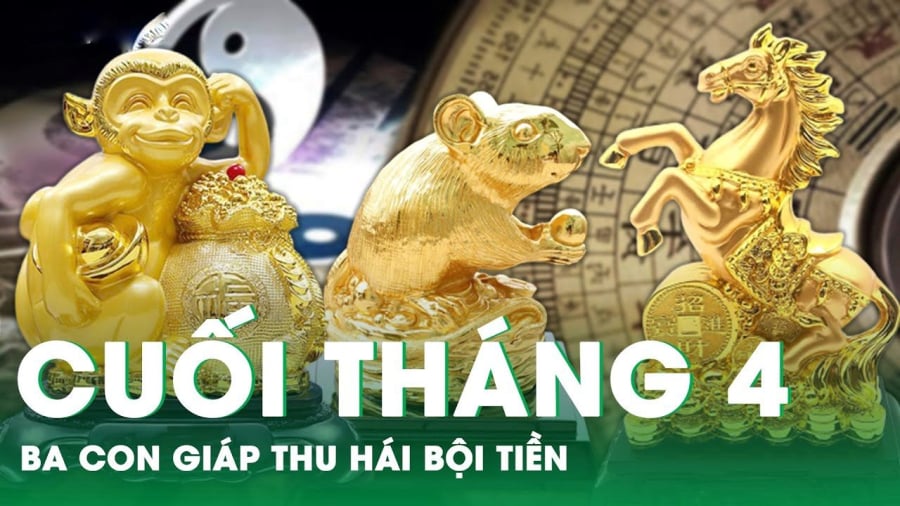 Người sinh năm Tý không chỉ được biết đến như những người sở hữu trí tuệ nhạy bén mà còn với khả năng phản ứng nhanh nhẹn, luôn là tâm điểm của sự chú ý với tính cách dí dỏm, khiến cho những buổi tụ họp trở nên sôi động và thú vị hơn bao giờ hết.