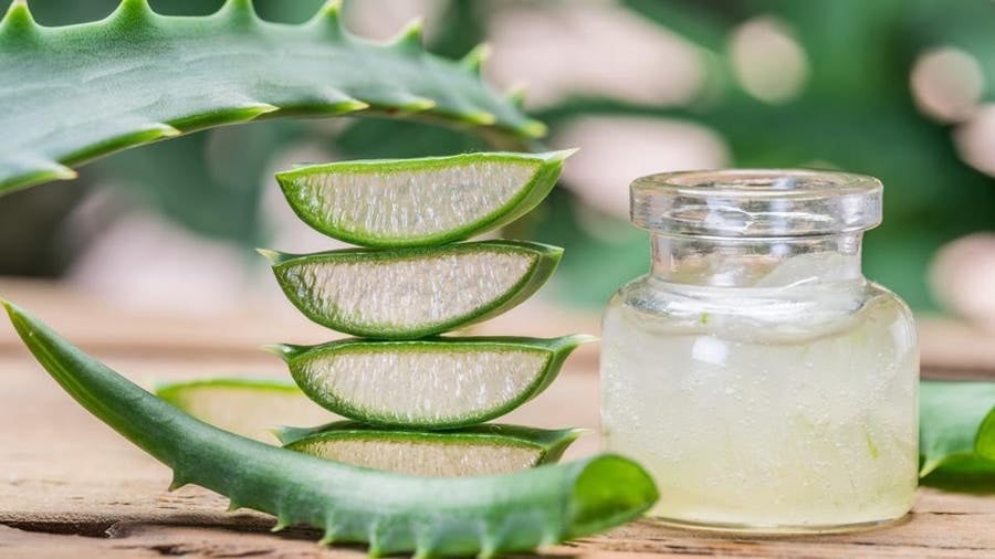Nước ép lô hội không đường có thể là một lựa chọn thức uống giàu năng lượng nhưng lại chứa ít calo, phù hợp cho bữa sáng