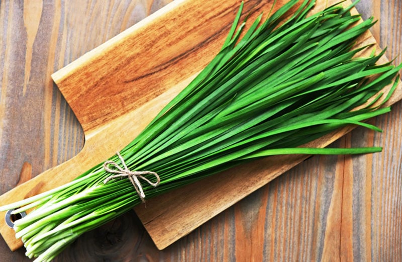 Loại rau tốt cho sức khỏe không bị lo nuôi hóa chất phòng ngừa ung thư tốt