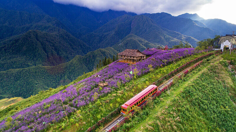Thung lũng Mường Hoa là điểm du lịch hấp dẫn giữa những dãy núi hùng vĩ