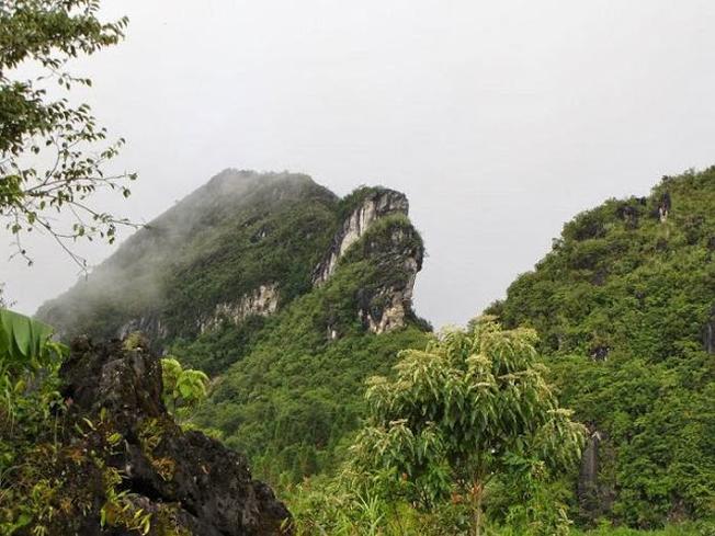 Núi Hàm Rồng là một phần của dãy núi Hoàng Liên Sơn và nổi tiếng với vẻ đẹp tự nhiên hùng vĩ của mình