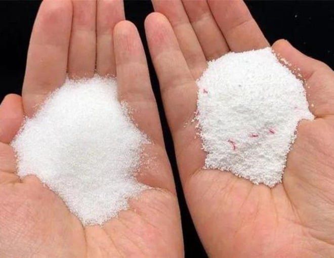 Gián thường là một trong những loài sinh vật gây khó chịu và lo lắng cho nhiều người, chúng sống bền bỉ và sinh sản nhanh chóng.    