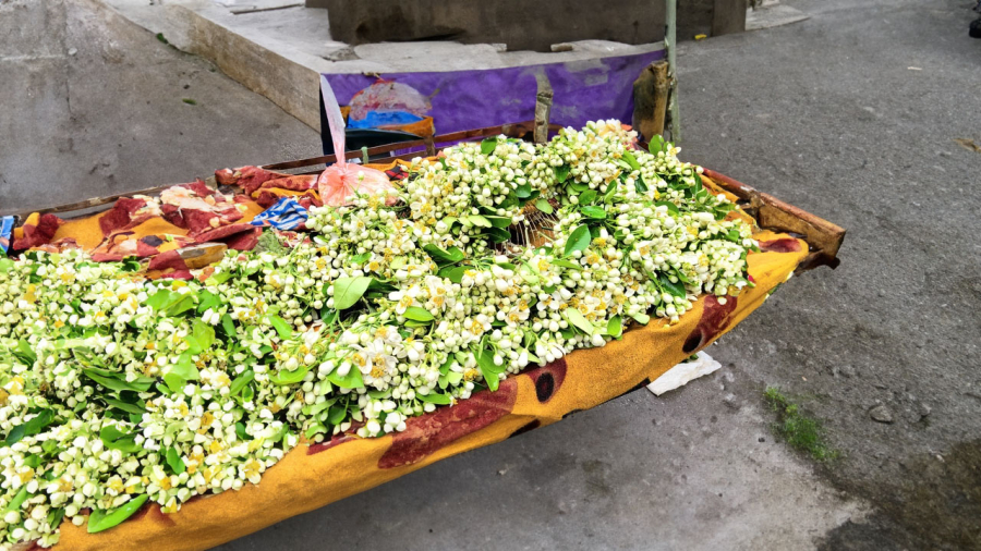 Hoa bưởi vừa thư giãn vừa tốt cho sức khỏe