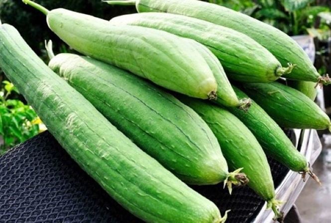 Mặc dù có vị ngọt, mướp lại có chỉ số đường huyết thấp