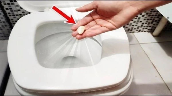 Nhà vệ sinh thường ẩm ướt và có mùi hôi đặc trưng từ bồn cầu và cống thoát nước. 