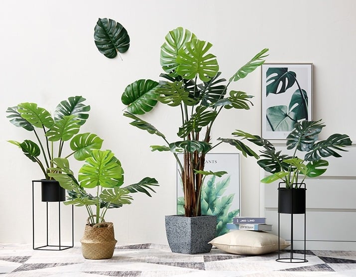 Bạn là người đơn giản và bận rộn