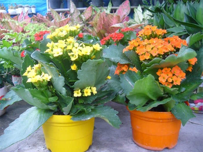 Bạn là người thích sự hiện đại