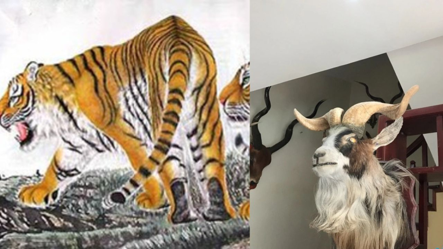 Tranh ảnh thú dữ, đầu động vật chết gây sát khí