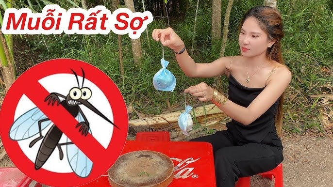 Cách đuổi muỗi an toàn