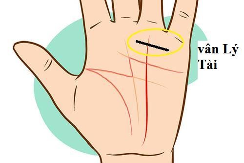 Những người với dấu hiệu tay này thường thành công trong lĩnh vực Shbet800 tải ứng dụng