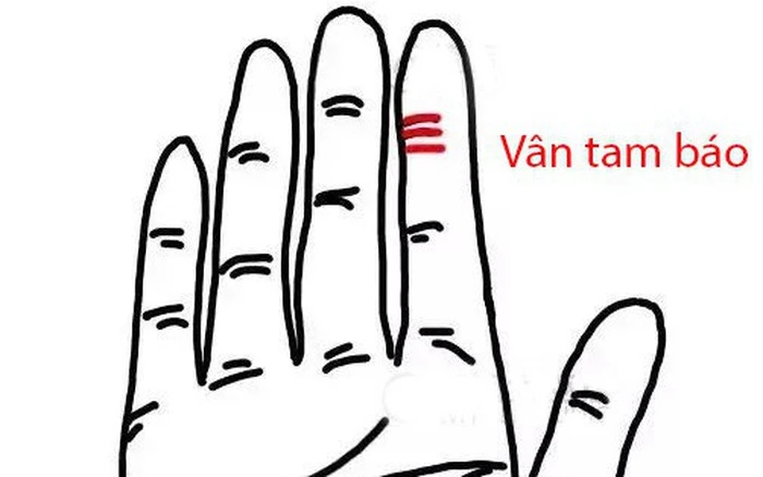 Nam giới có vân Tam Báo thường kết hôn với người vợ có nền tảng kinh tế vững chắc