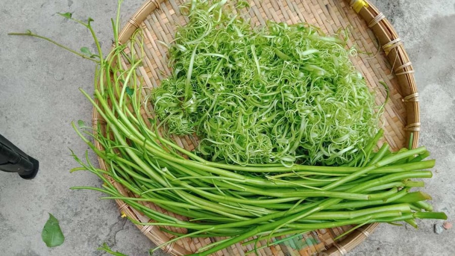 Nhặt hết lá của rau muống và chỉ giữ lại phần cọng rồi mang đi chẻ nhỏ.