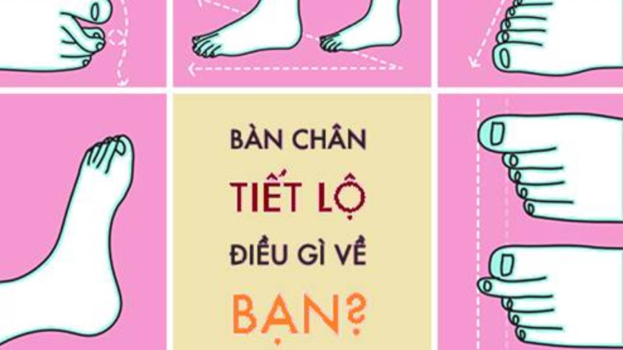 Theo nhân tướng học, người sở hữu lòng bàn chân mềm mịn, nhiều đường vân thường là người có số giàu sang, vinh hiển