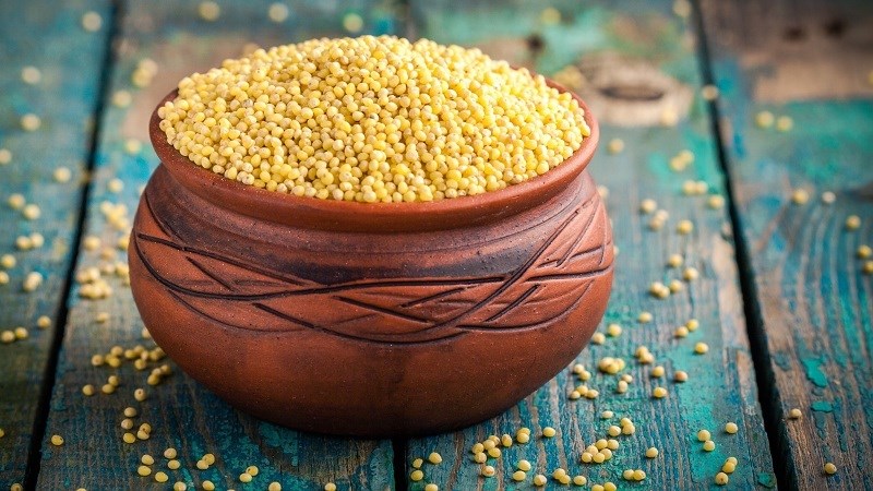 Hạt kê, ở Việt Nam, được coi trọng như thực phẩm “trường thọ”