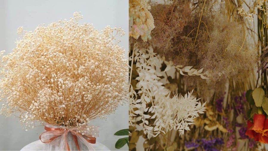 Hoa khô không hợp về phong thủy