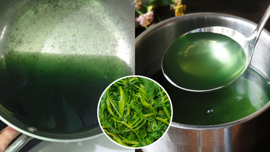 Nước rau muống luộc có thể có màu xanh đậm trong một số trường hợp.