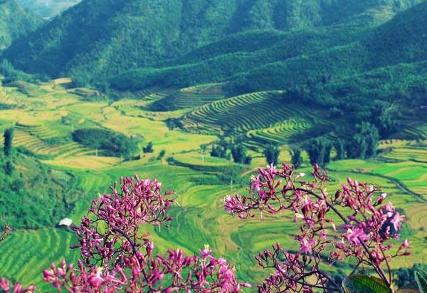 Khuyenmai SHBET pages dev Điện Biên - Trải nghiệm thiên nhiên hoang sơ, chinh phục những cung đường đèo hùng vĩ