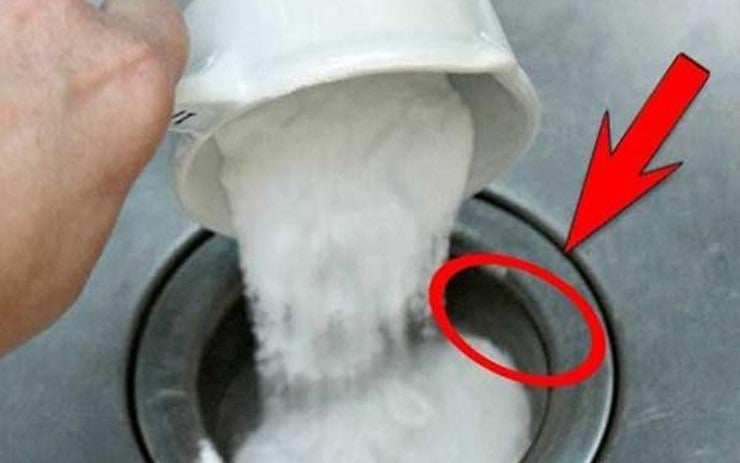 Muối có thể ngăn chặn sự phát triển của ruồi cống và thậm chí giúp tiêu diệt chúng.