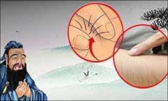 Độ dài và màu sắc của lông vùng kín của mỗi người là khác nhau, phụ thuộc vào nội tiết tố và tone da của người đó. (ảnh minh họa)