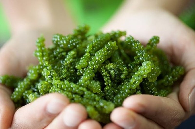 Rong nho giúp làm đẹp và giảm cân hiệu quả