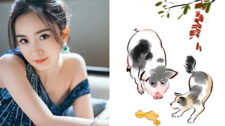 Tuổi Hợi là người chân thành, tốt bụng, có lòng trắc ẩn và thấu hiểu.