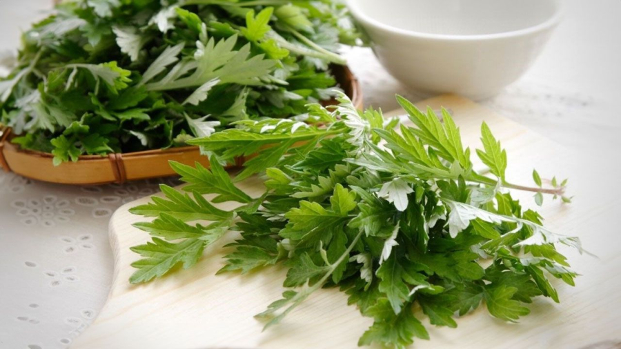 Rai ngải cứu đắng nhưng lại cho nhiều công dụng ngọt ngào