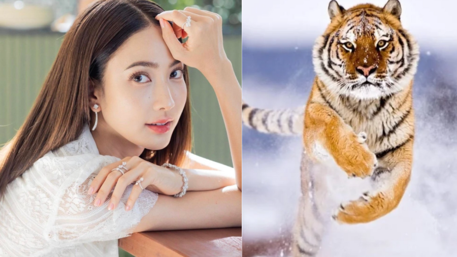 Người tuổi Dần thường nổi tiếng với tính cách lạc quan, vui vẻ, nhiệt tình và yêu thích đời sống tự do.     