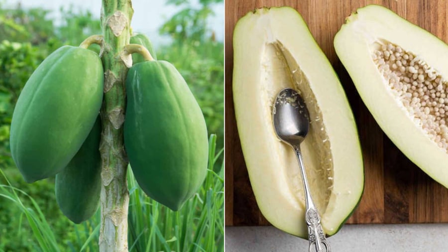 Đu đủ xanh chứa nhiều vitamin, khoáng chất, chất chống oxy hóa tốt cho sức khỏe.