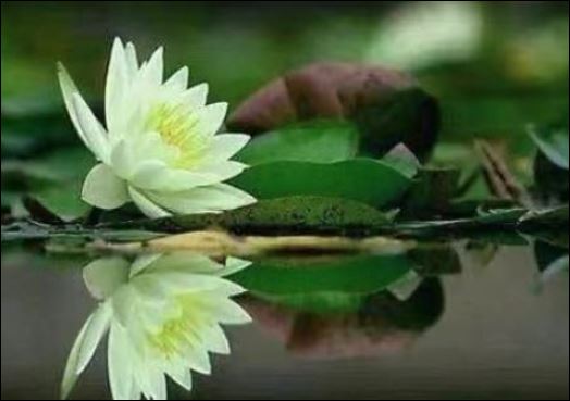 Một người dù nghèo, chỉ cần hình thành thói quen tiết kiệm thì người đó sẽ có Shbet16 chơi game trực tuyến cực  (ảnh minh họa)