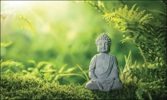 Cưỡng cầu quá nhiều lại càng tự làm hại chính mình. (ảnh minh họa)