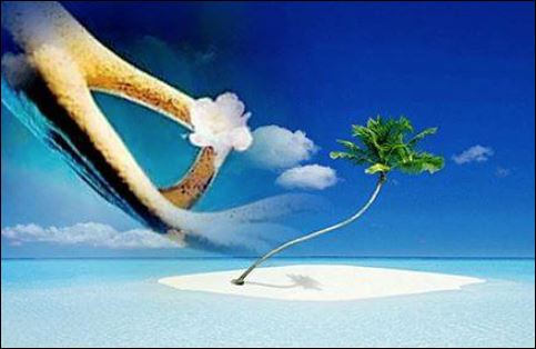 Bạn cũng có thể đầu tư vào quản lý Shbet800 tải ứng dụng và biến thành của cải nhiều hơn. (ảnh minh họa)