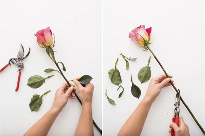 Những lá thừa và lá rụng trong bình hoa có thể tạo điều kiện cho vi khuẩn phát triển do tiếp xúc dễ dàng với nước.