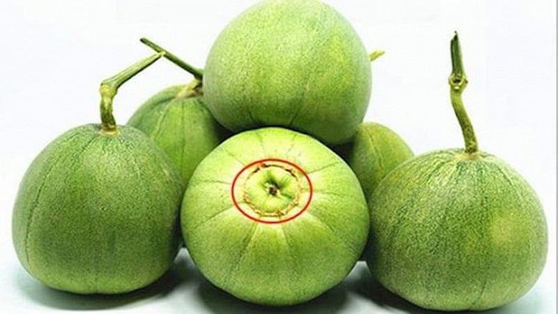 Khi mua dưa lê, mọi người nên quan sát kĩ phần rốn và phần cuống của dưa
