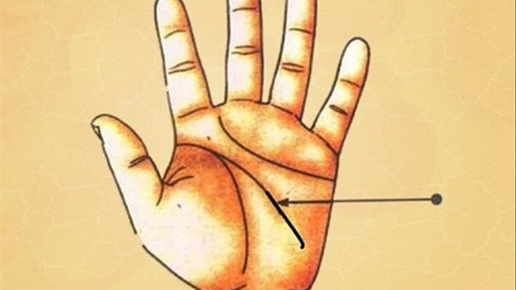 Đường sinh mệnh và đường trí tuệ cắt nhau, kéo ra khỏi lòng bàn tay