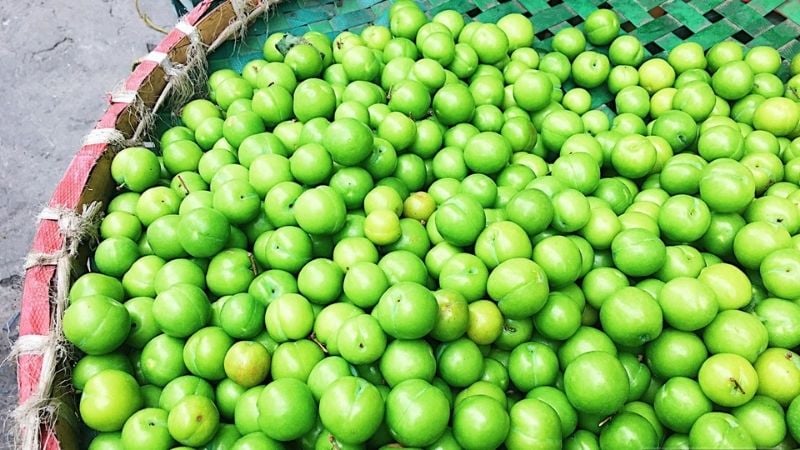 Mận thép trái nhỏ, vỏ màu xanh