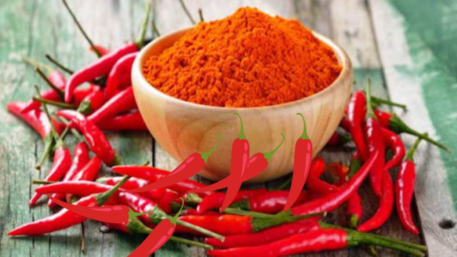 Bột ớt khiến chuột sặc