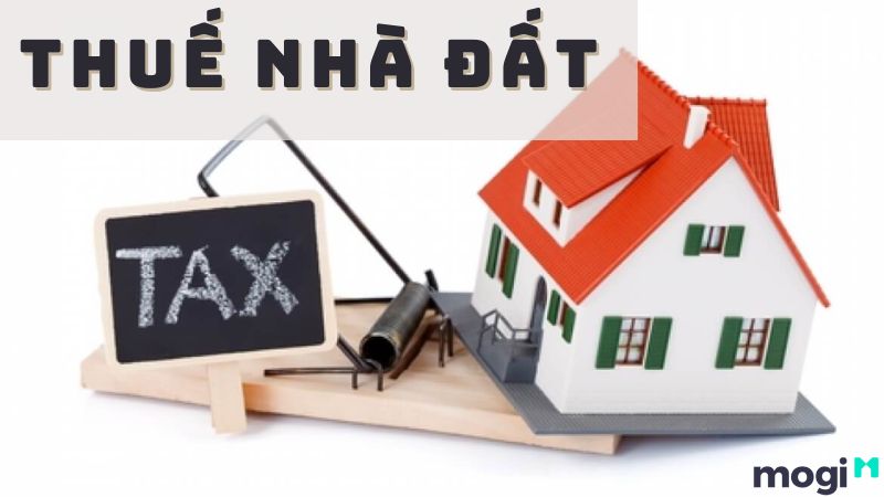 Tất cả các loại đất phi nông nghiệp, kể cả đất có Sổ đỏ, đều phải chịu thuế sử dụng đất phi nông nghiệp. 