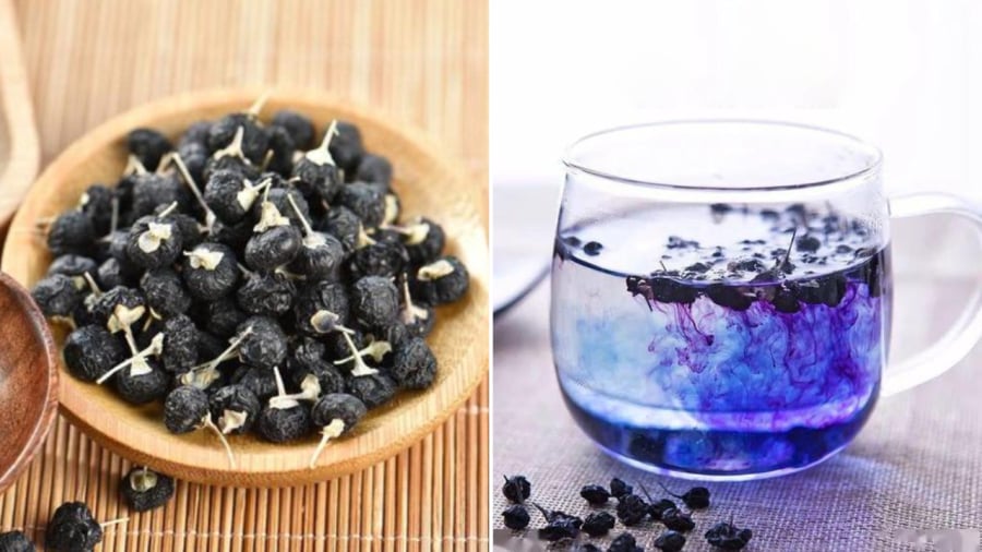 Quả hắc kỷ tử (kỷ tử đen) khi ngâm vào nước có thể làm nước chuyển sang màu xanh hoặc tím.