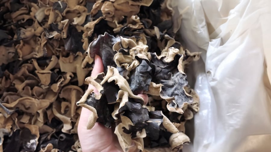 Nhiều người sai lầm ngâm mộc nhĩ trong nước sôi